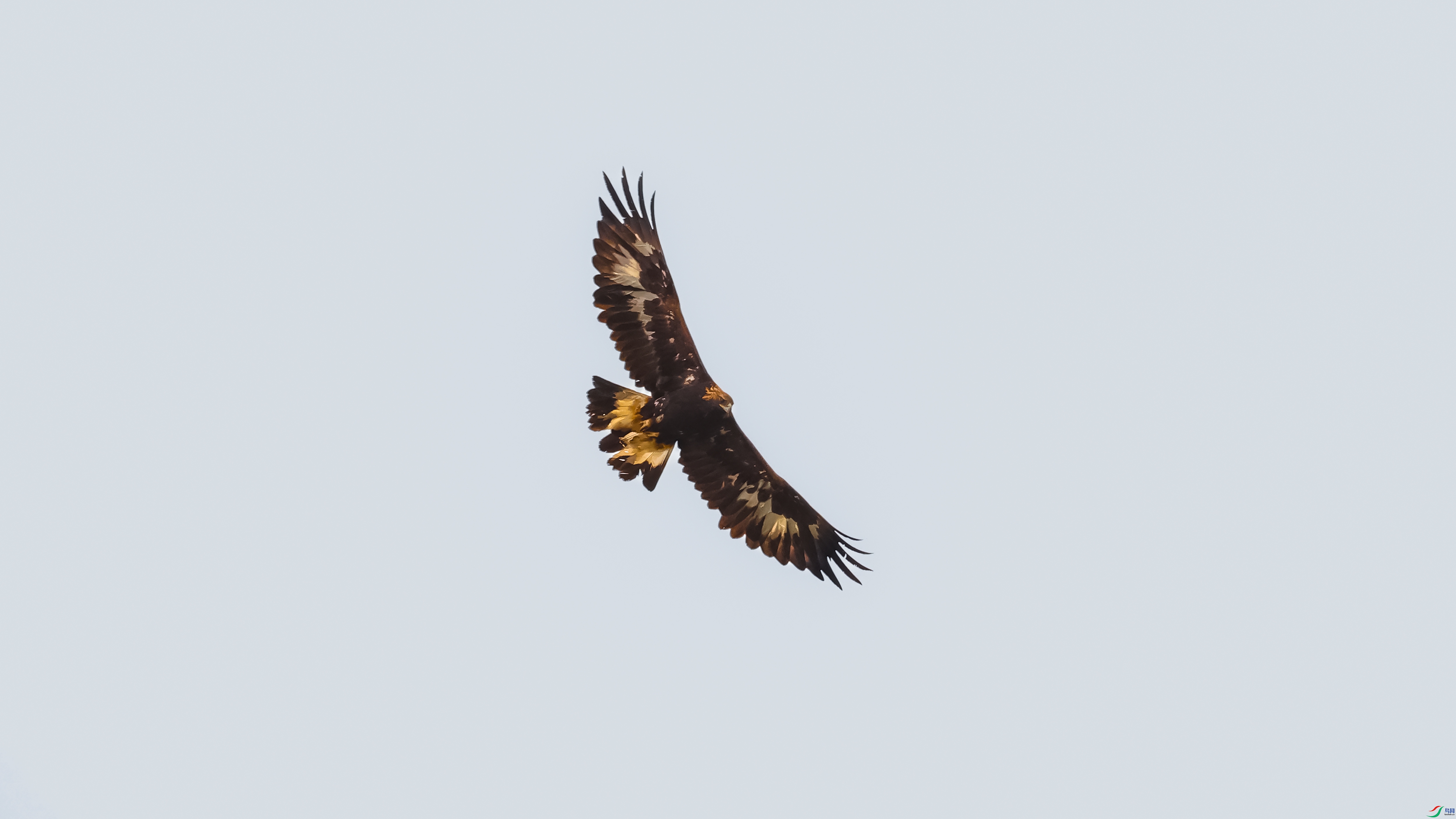 7X5A6261 22.jpg