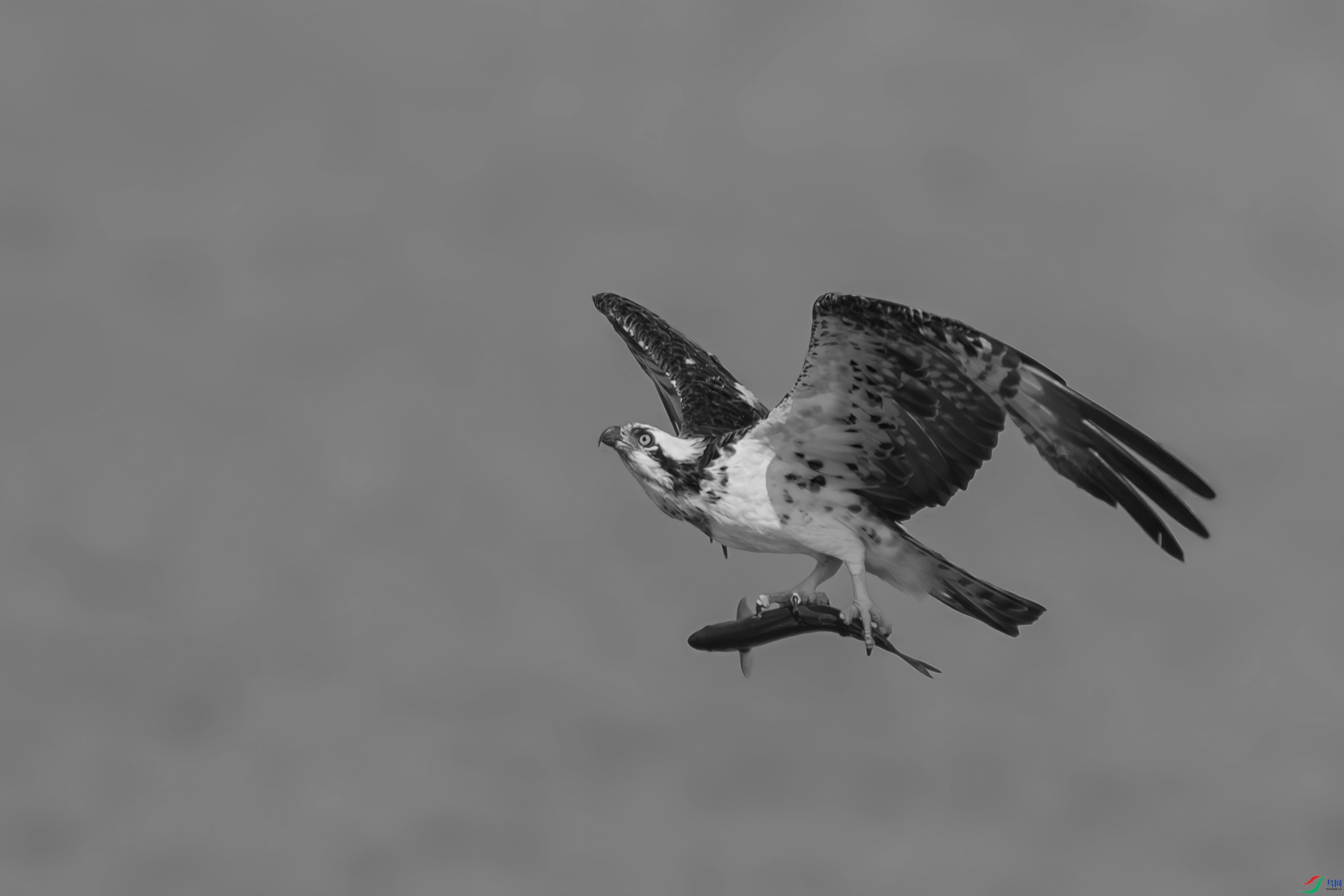 CQ0I2978h.jpg