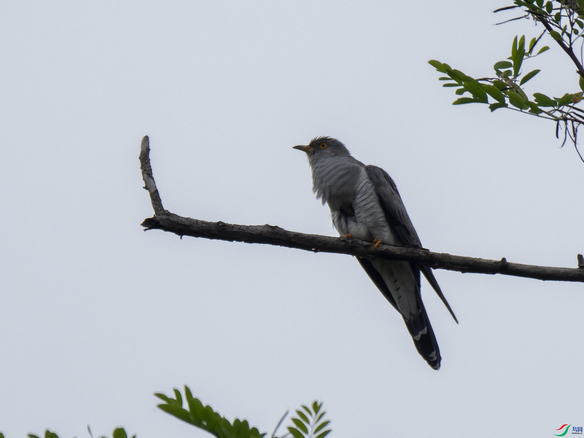 P5201587.jpg