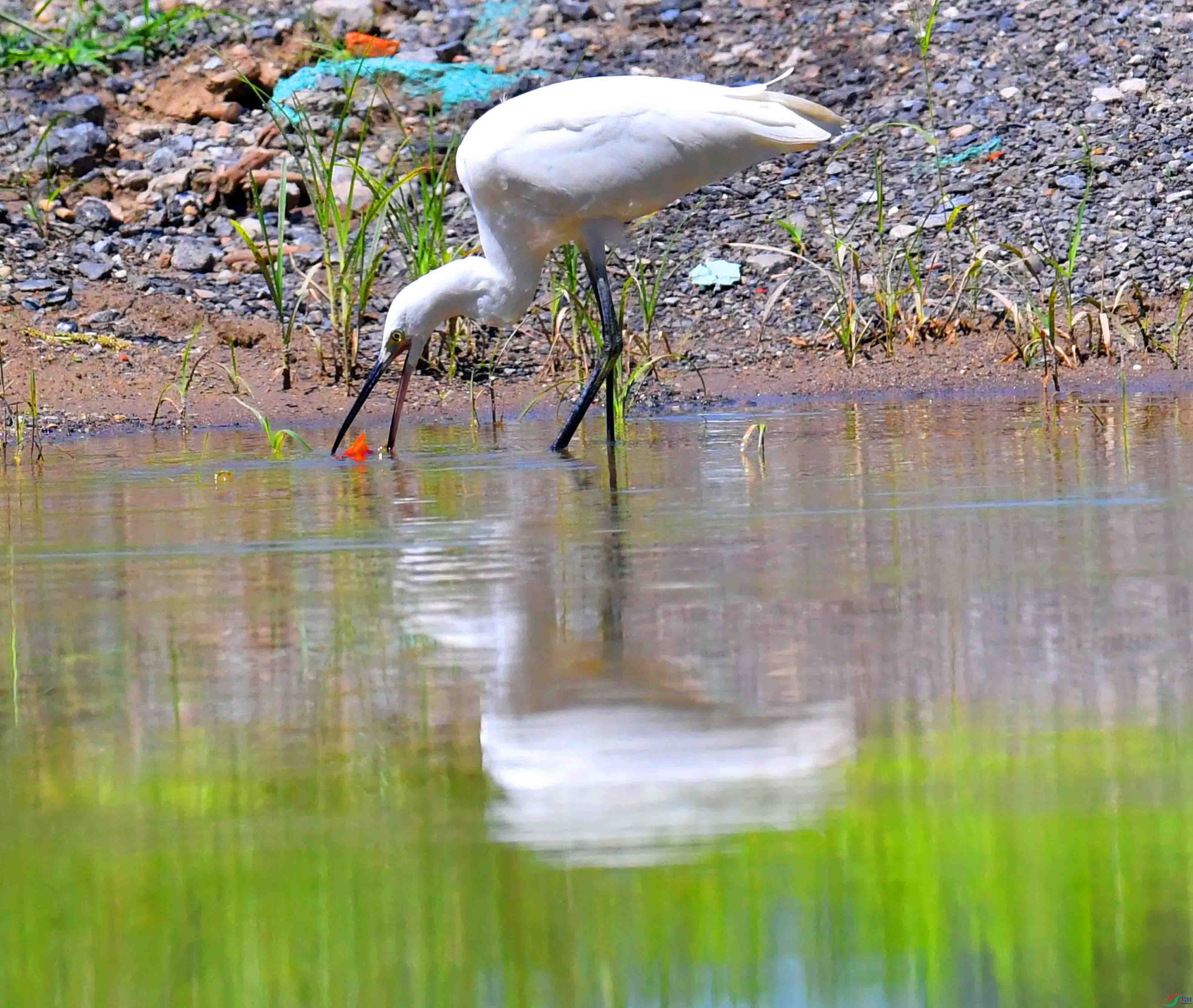 DSC_9439.JPG