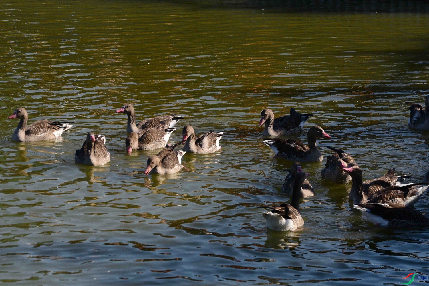 DSC_6897.JPG