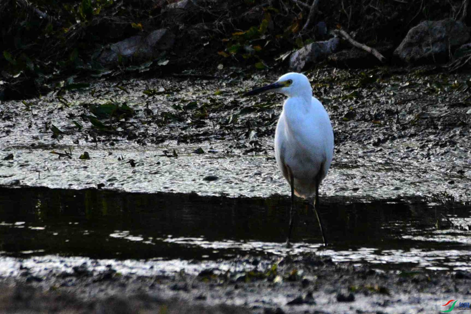DSC_7086.JPG
