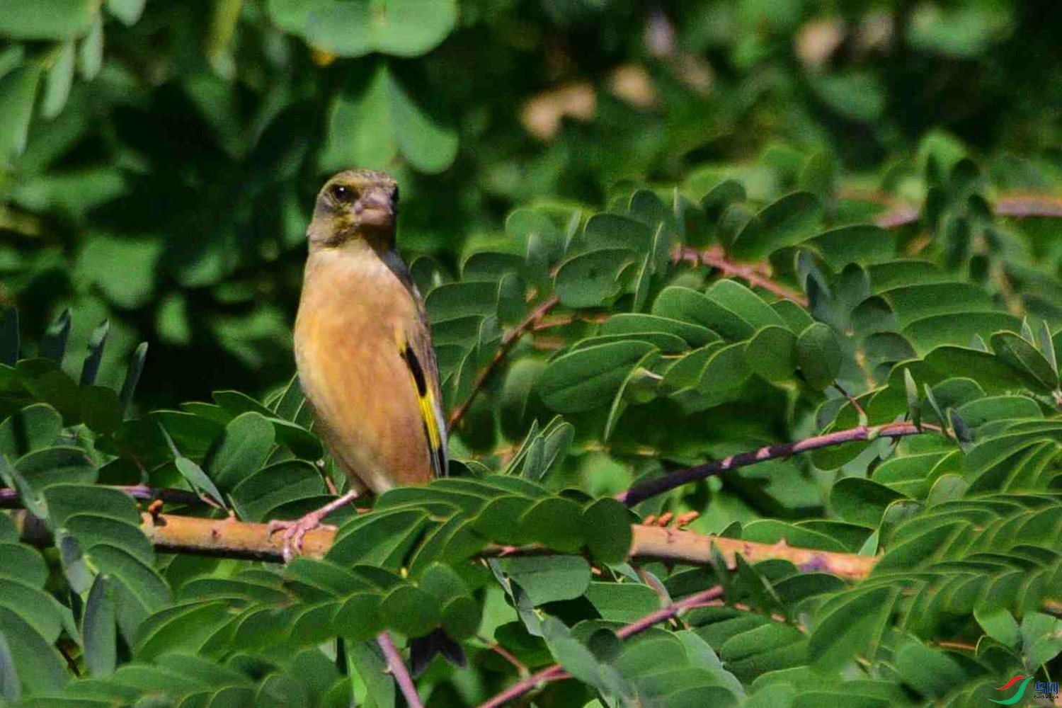 DSC_8825.JPG