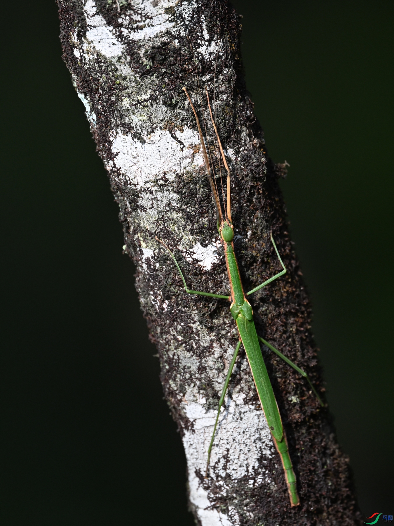 DSC_4351.JPG