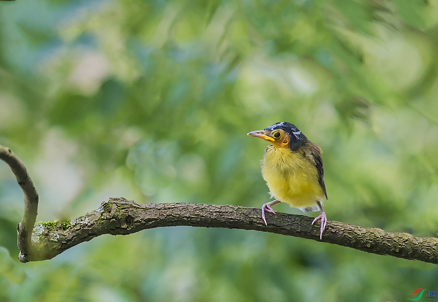 DSC_4661.jpg