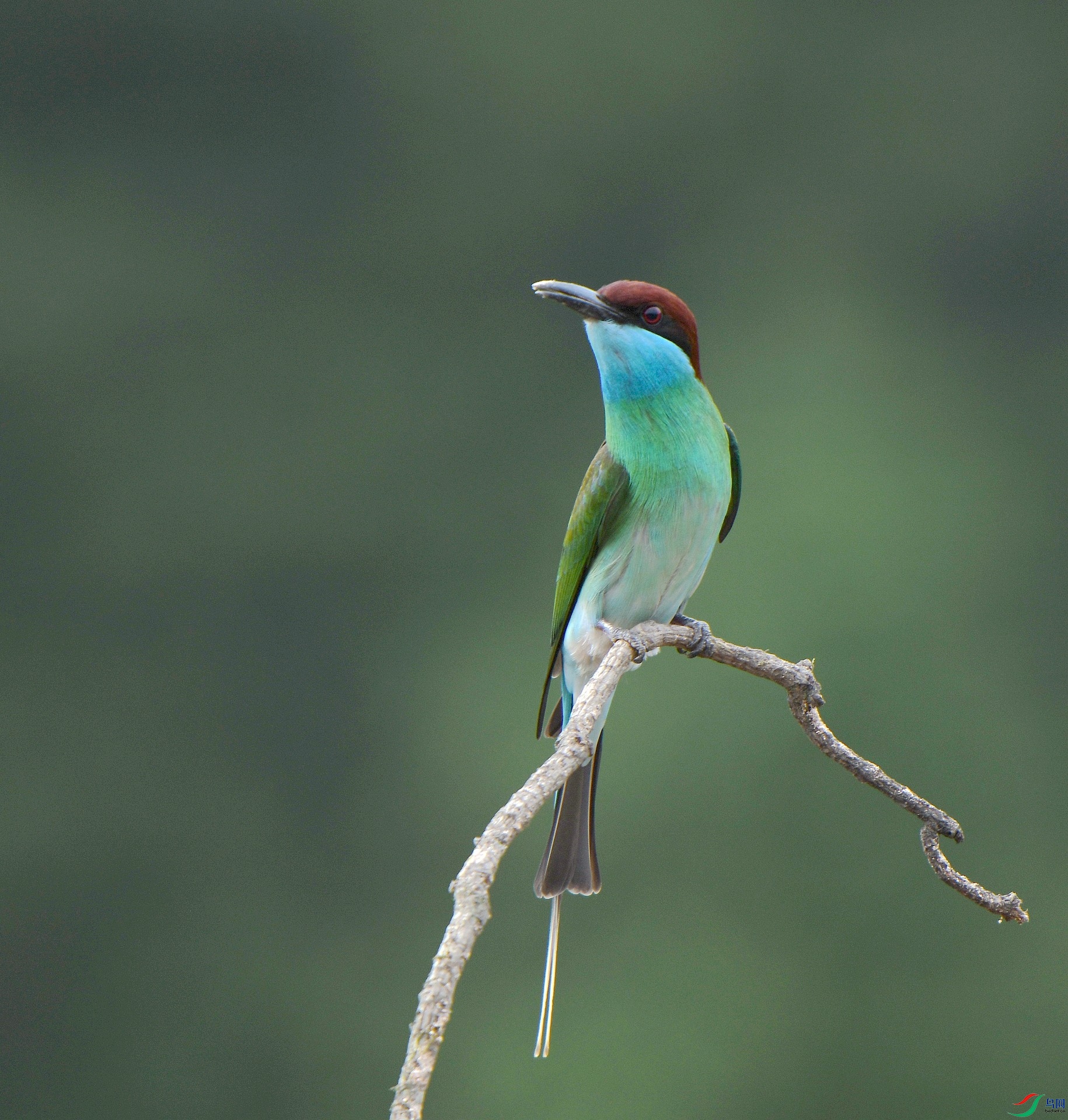 DSC_1475.jpg