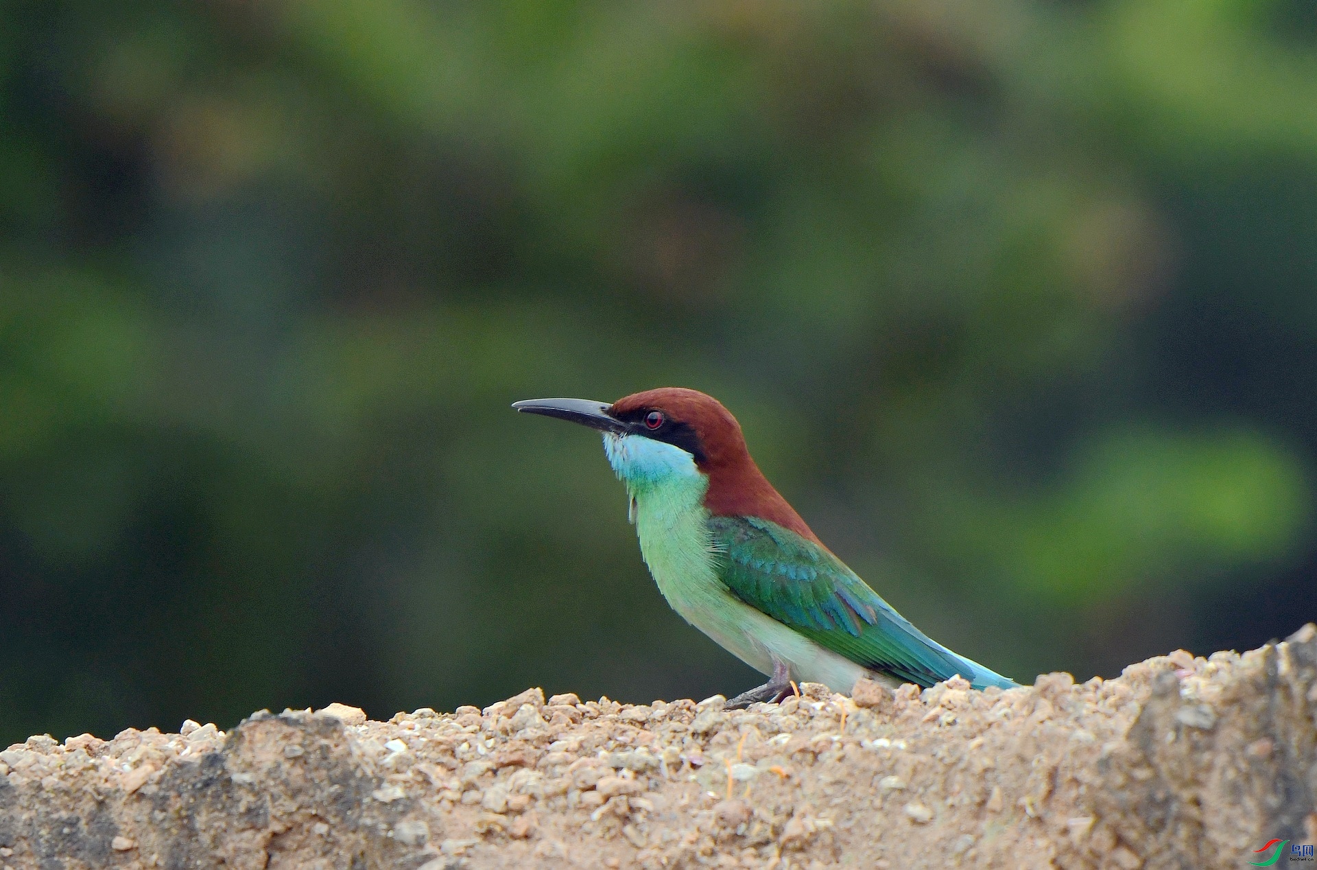 DSC_1678.jpg