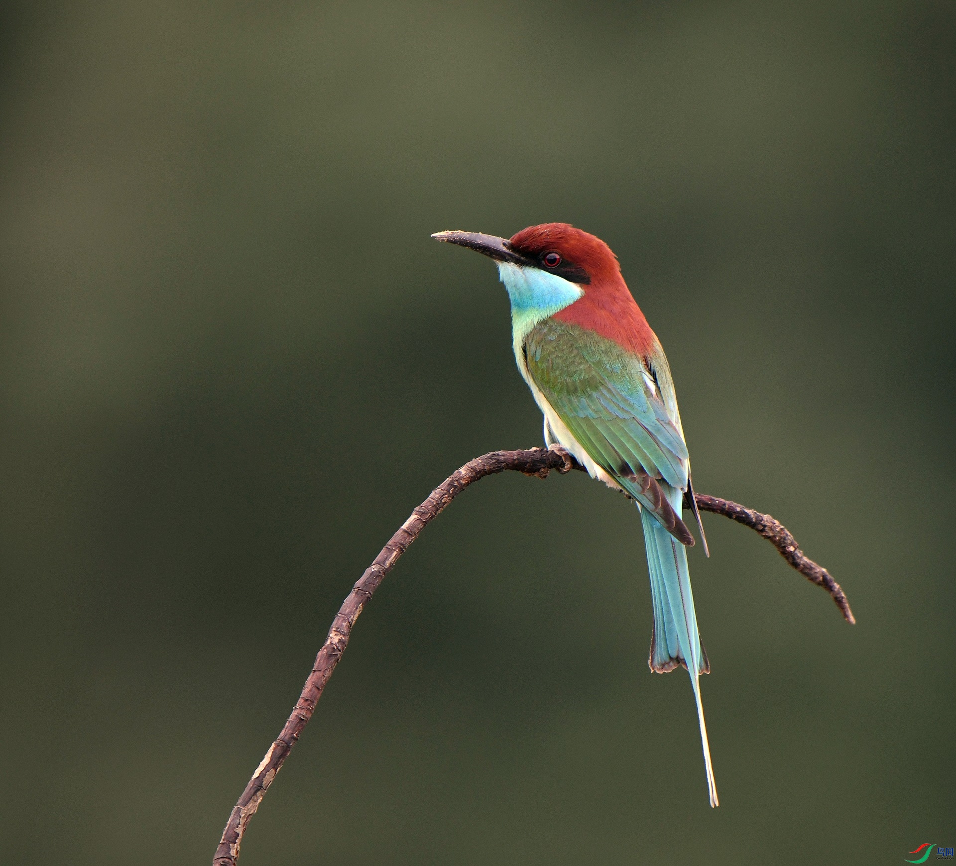 DSC_1773.jpg