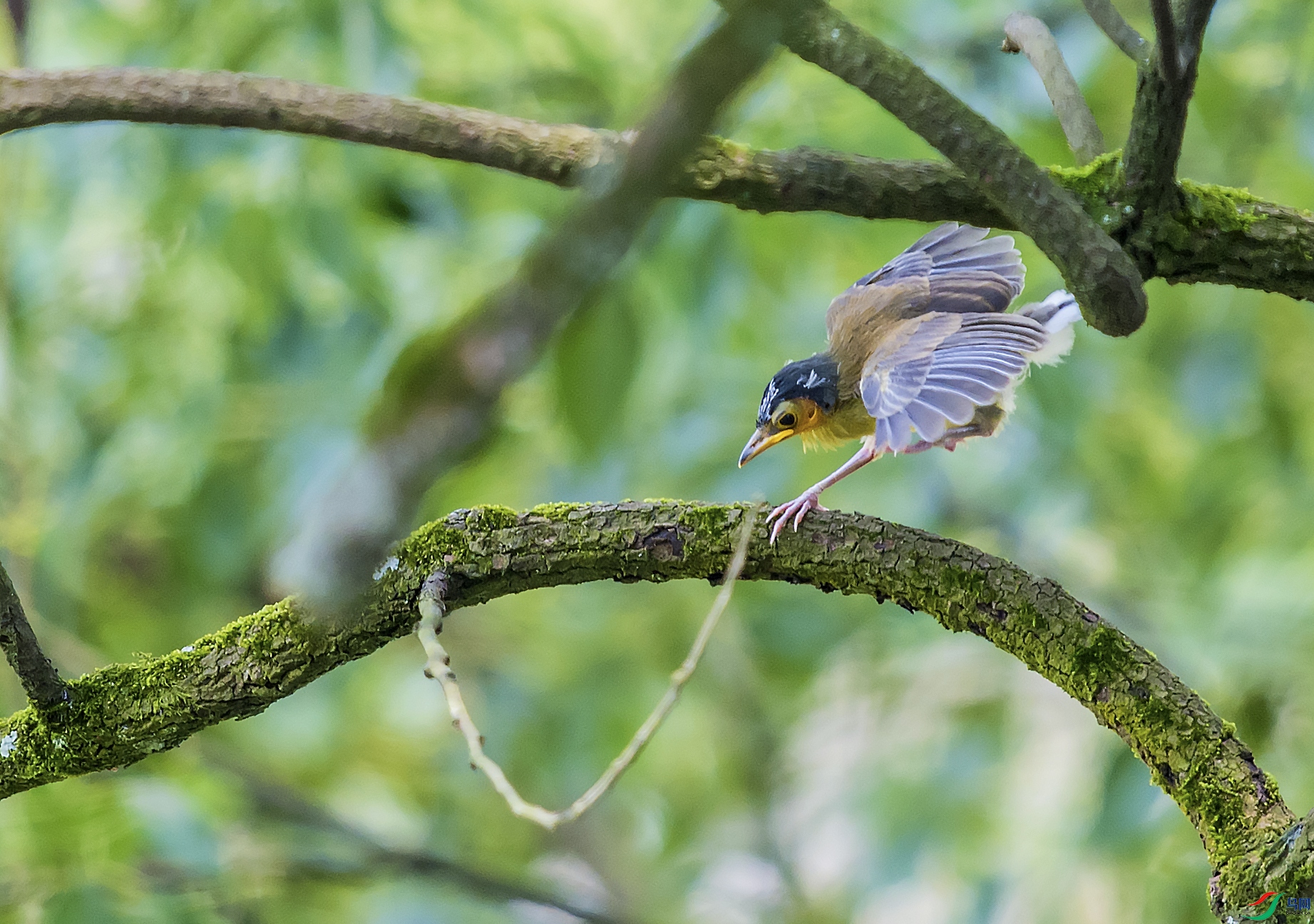 DSC_4648.jpg