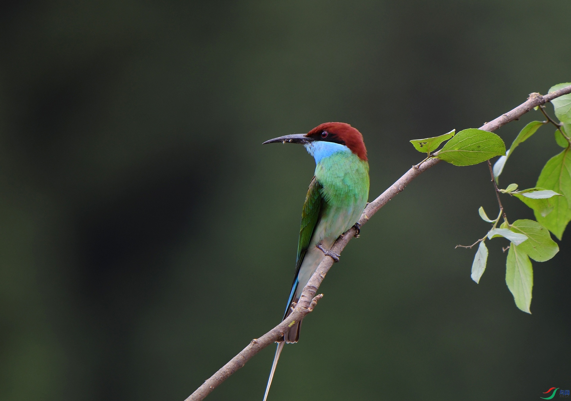 DSC_1573.jpg