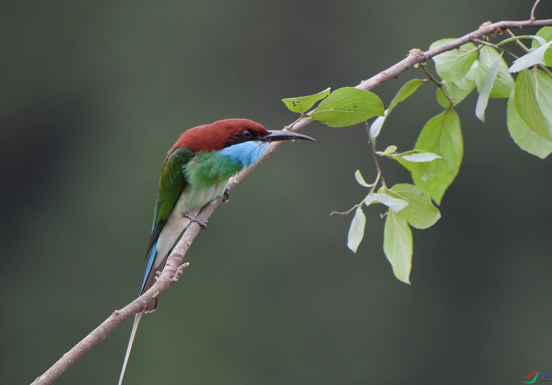 DSC_1576.jpg