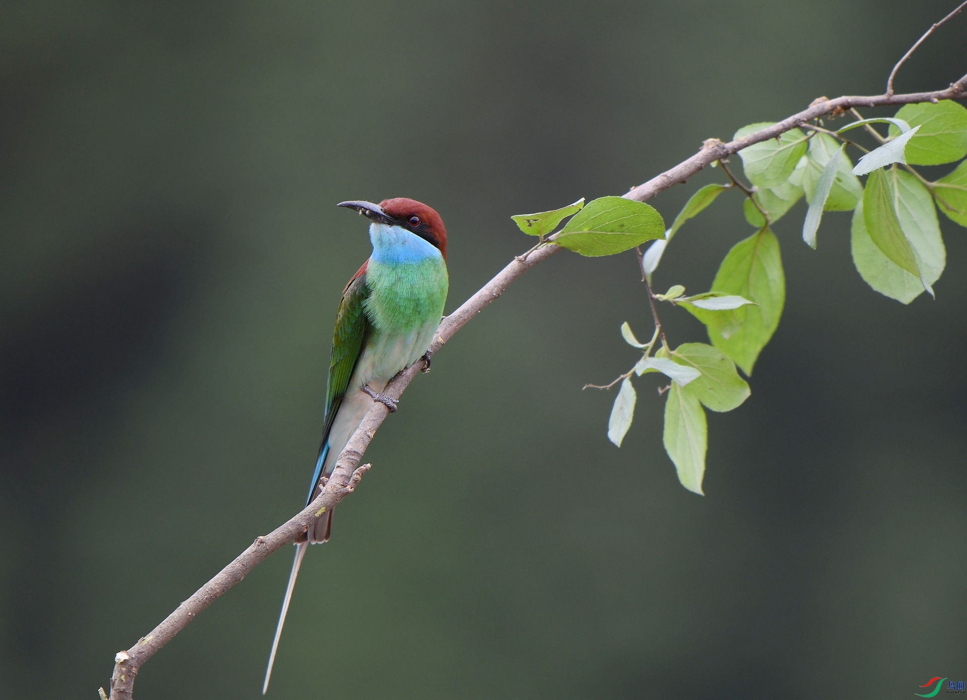 DSC_1577.jpg