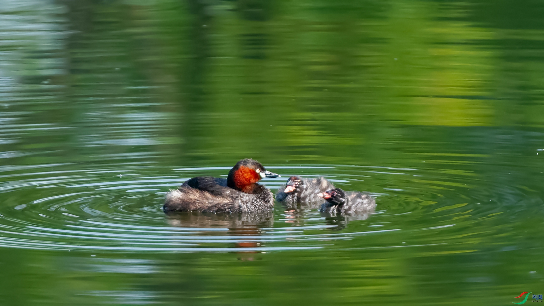 3DSC_0029_DxOa.jpg
