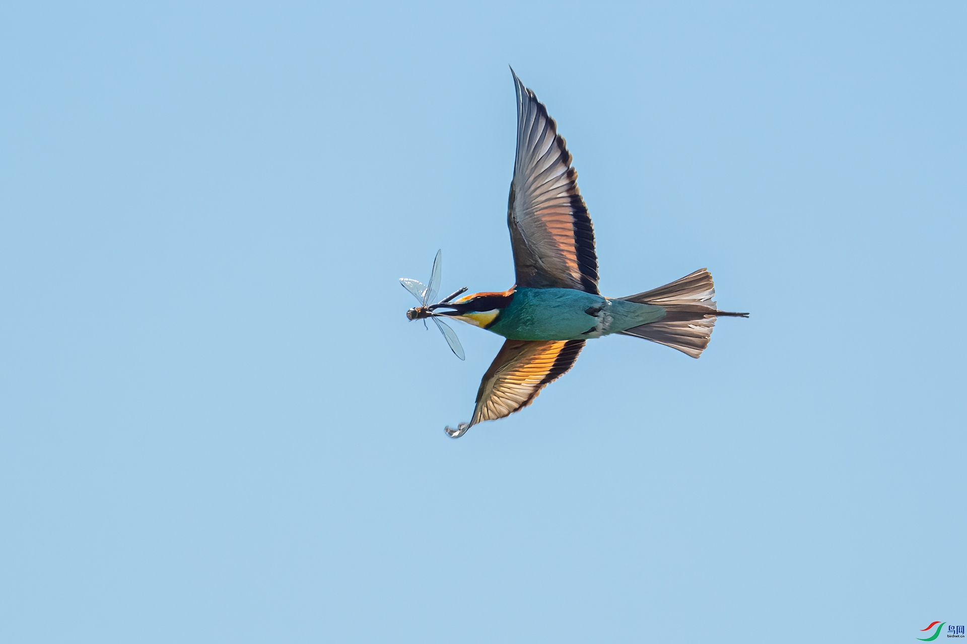 DSC_9886.jpg