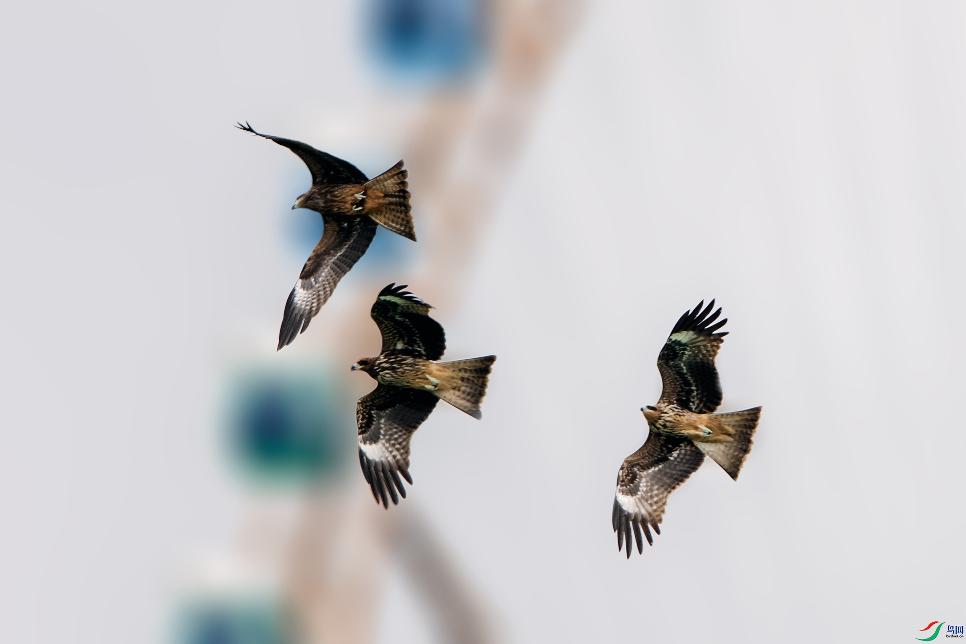 ��_AUU5569��ӥ��(23.9.27)-1.jpg