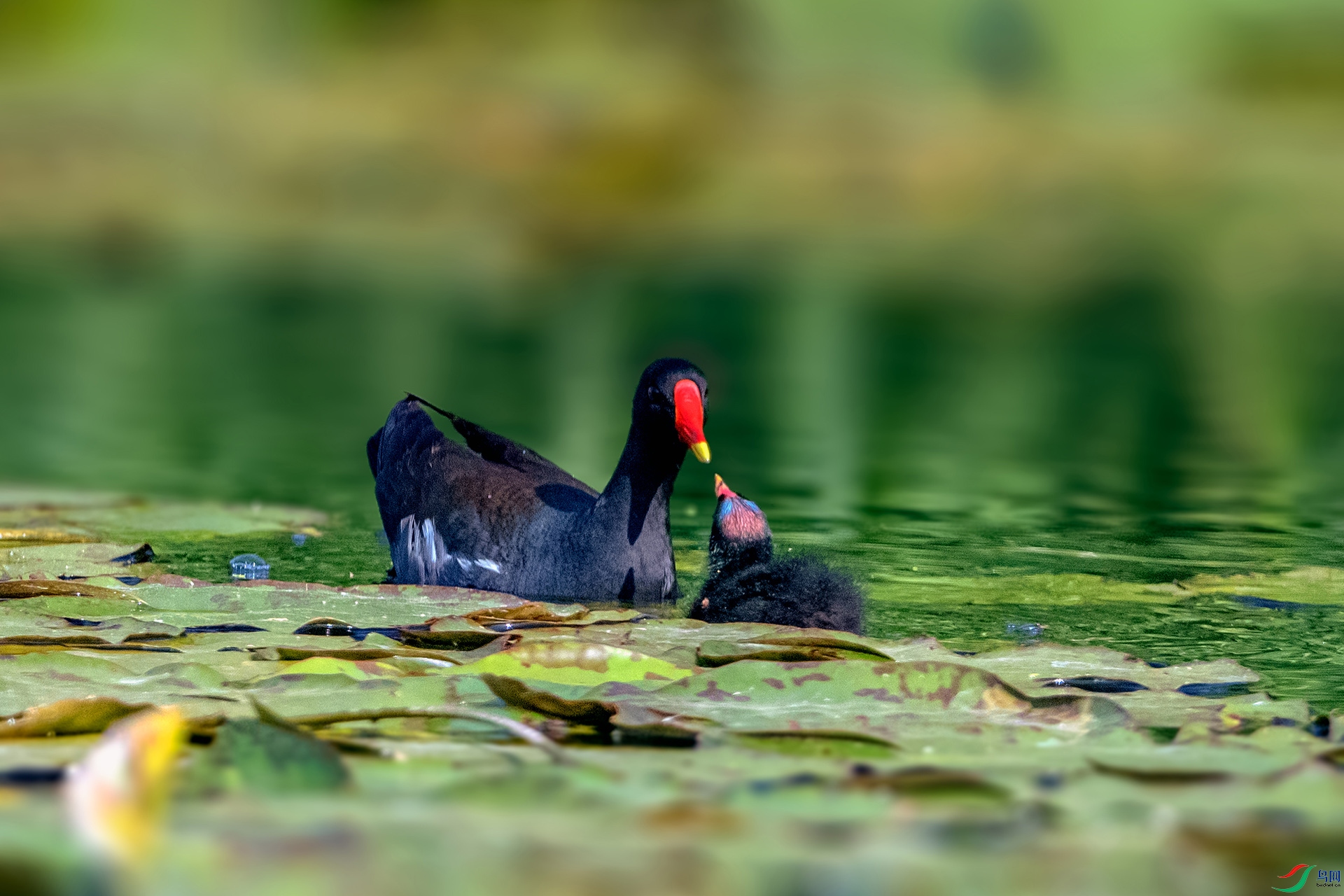 _AUU0214 ĸ������(26.3.31).jpg