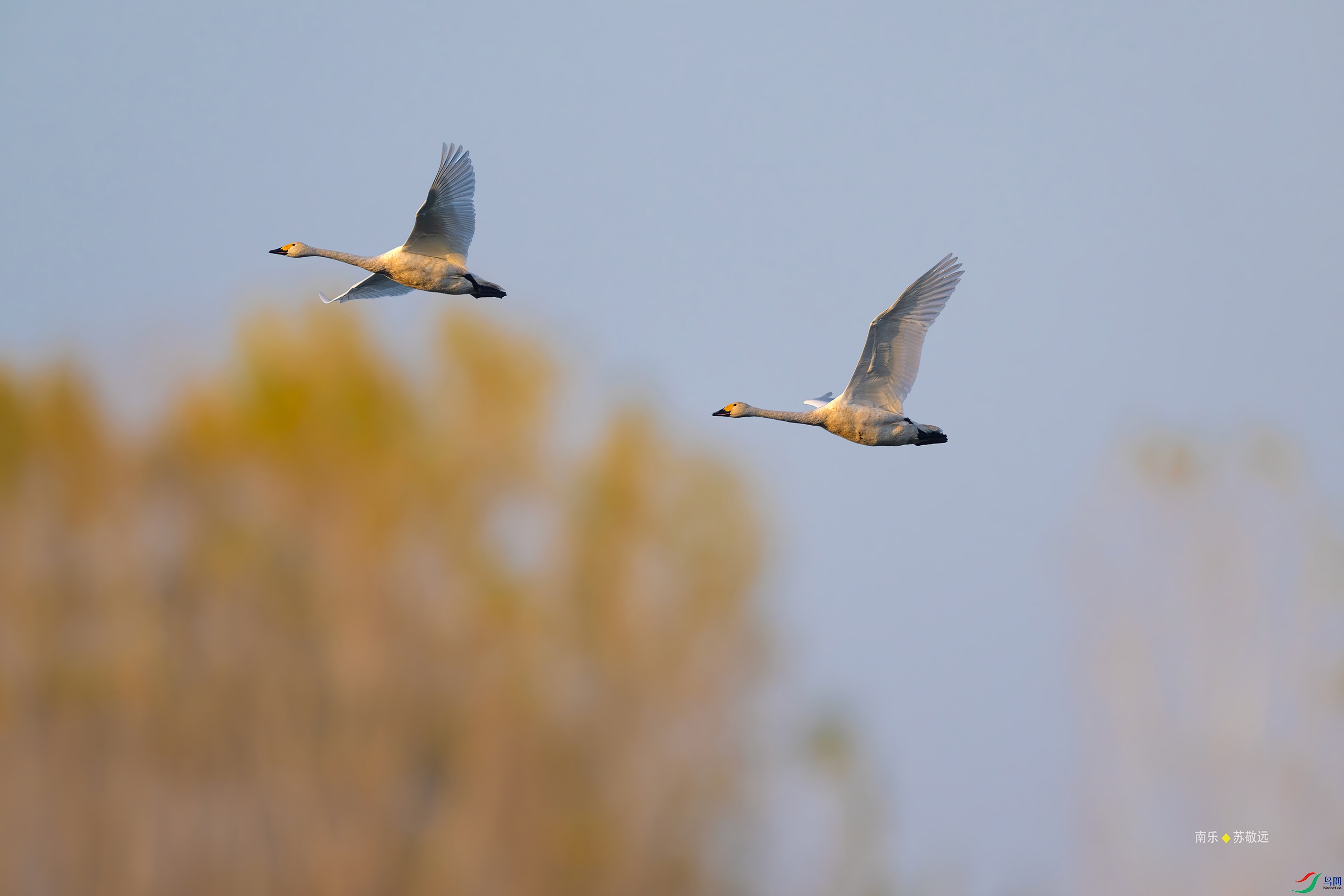 _DSC6951-DxO_С.jpg