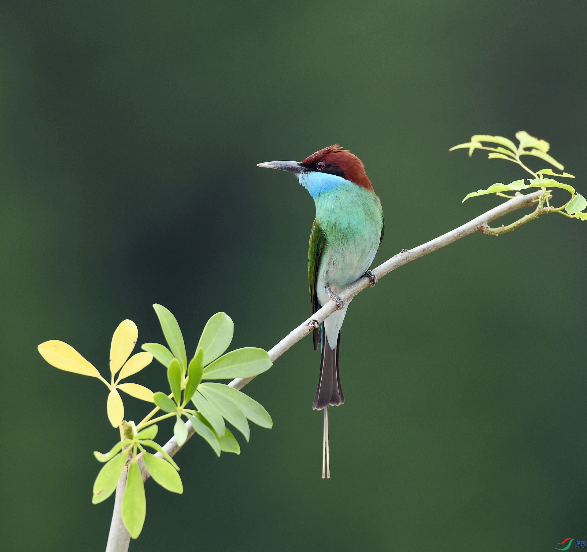 DSC_6080.jpg