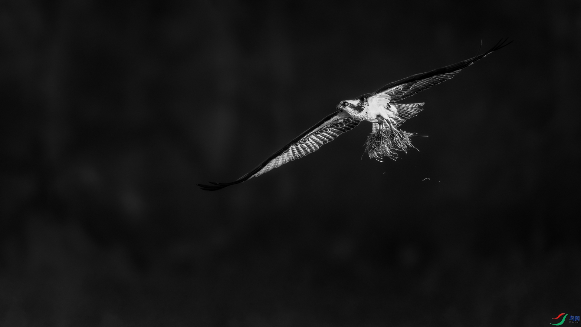 9I6A7580_2.jpg