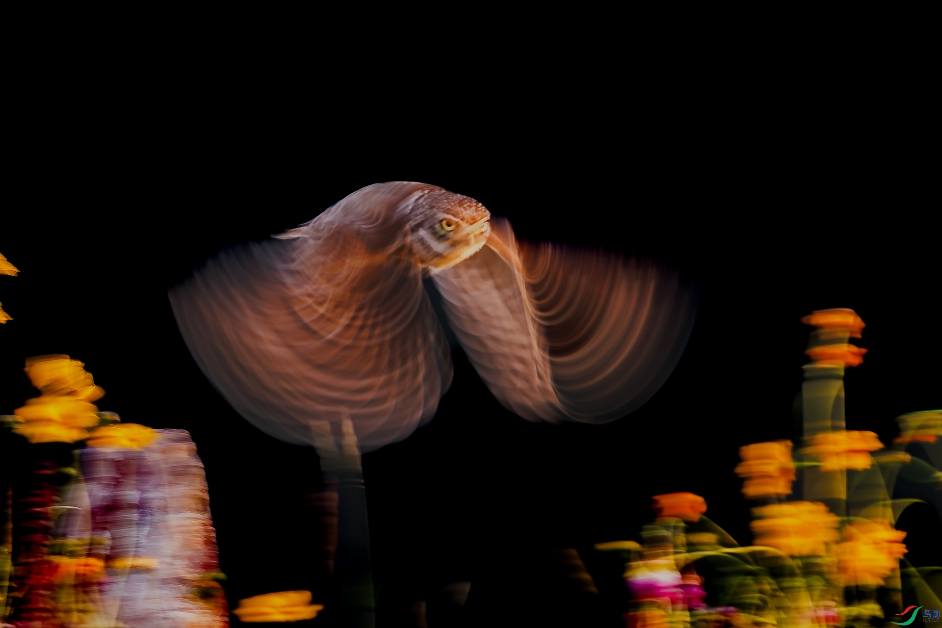 _V9A5761.jpg