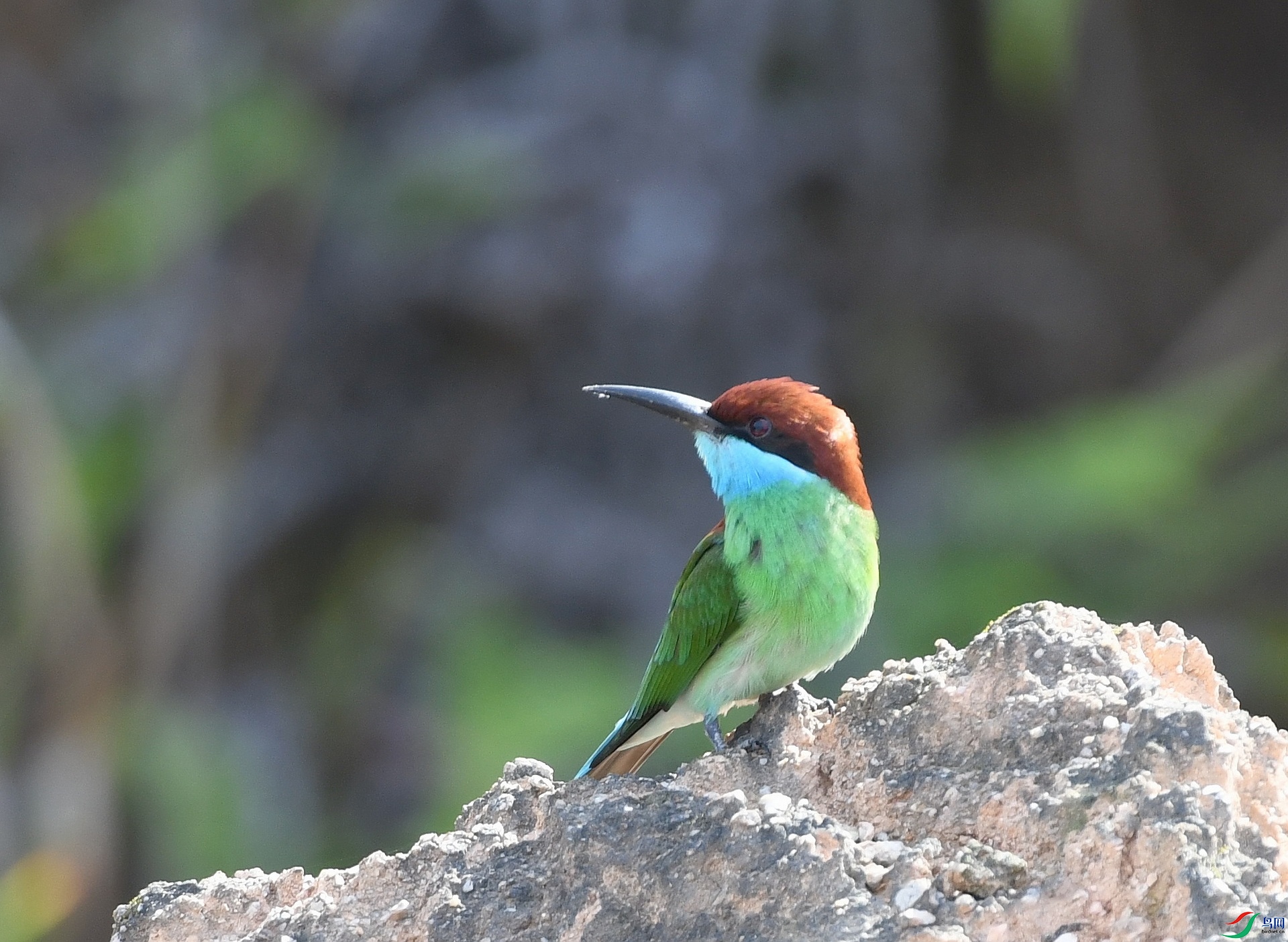 DSC_3432.jpg