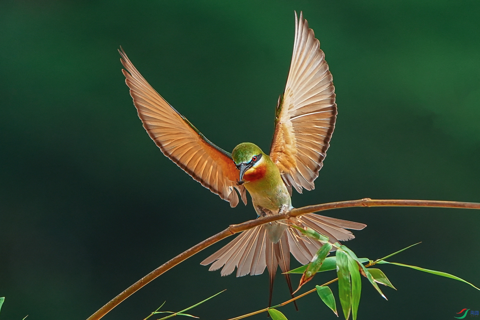 DSC02012-1.jpg