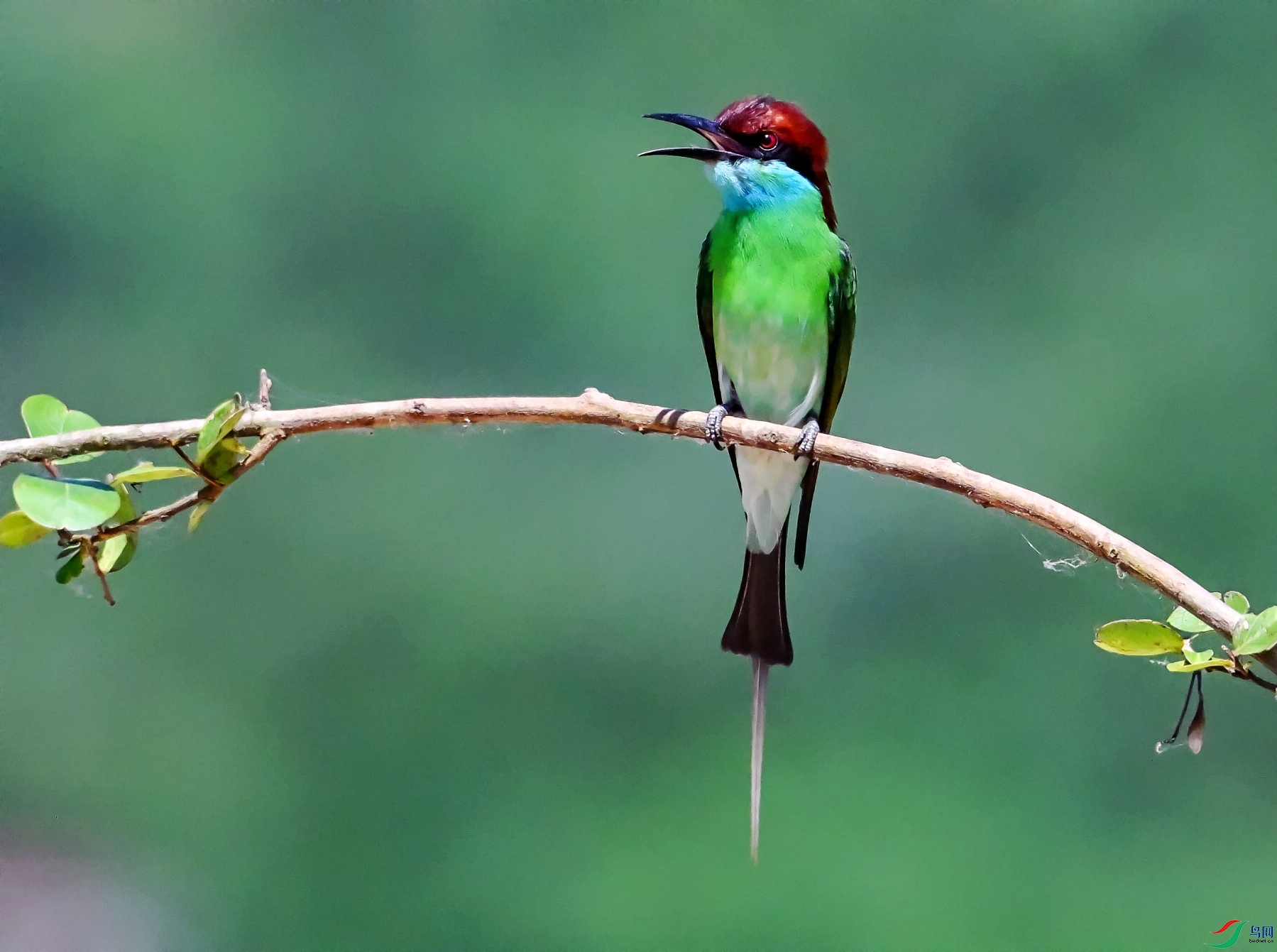 DSC_8763---_conew1.jpg
