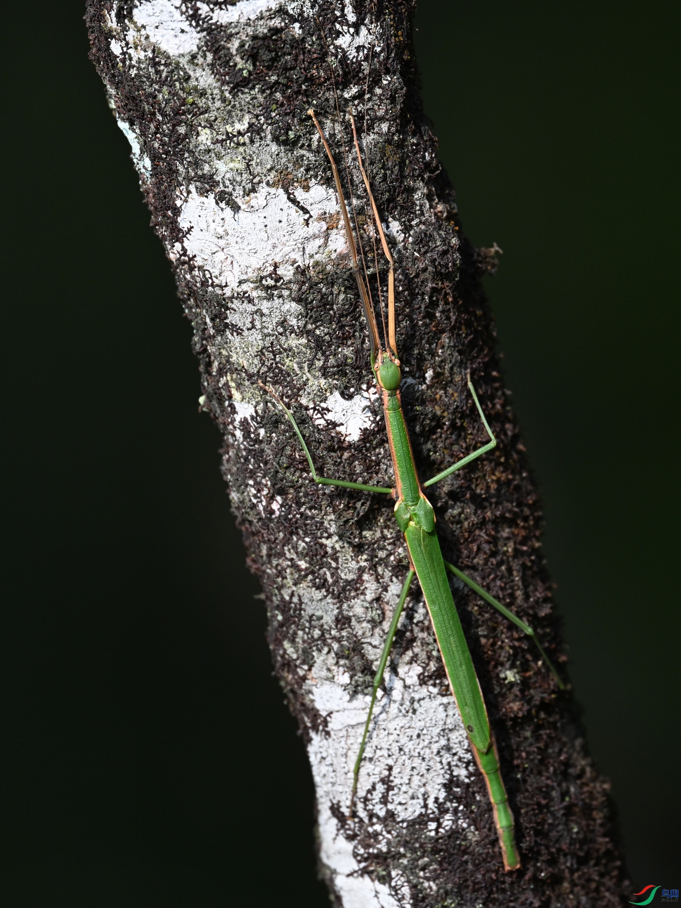 DSC_4352.JPG