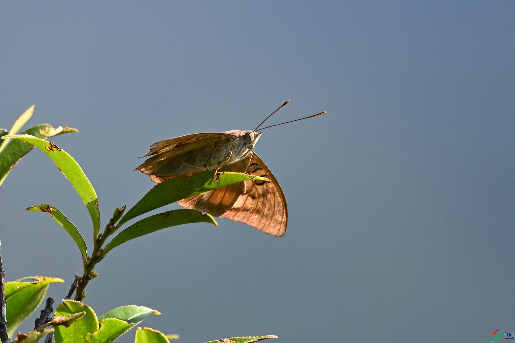 DSC_4368.JPG