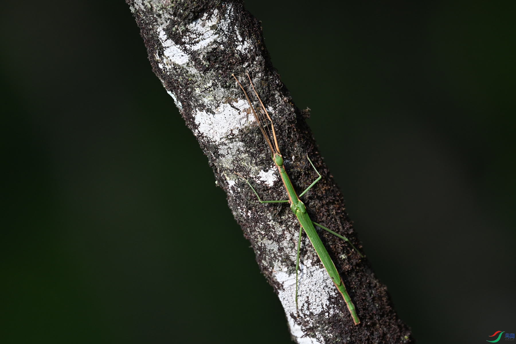 DSC_4356.JPG