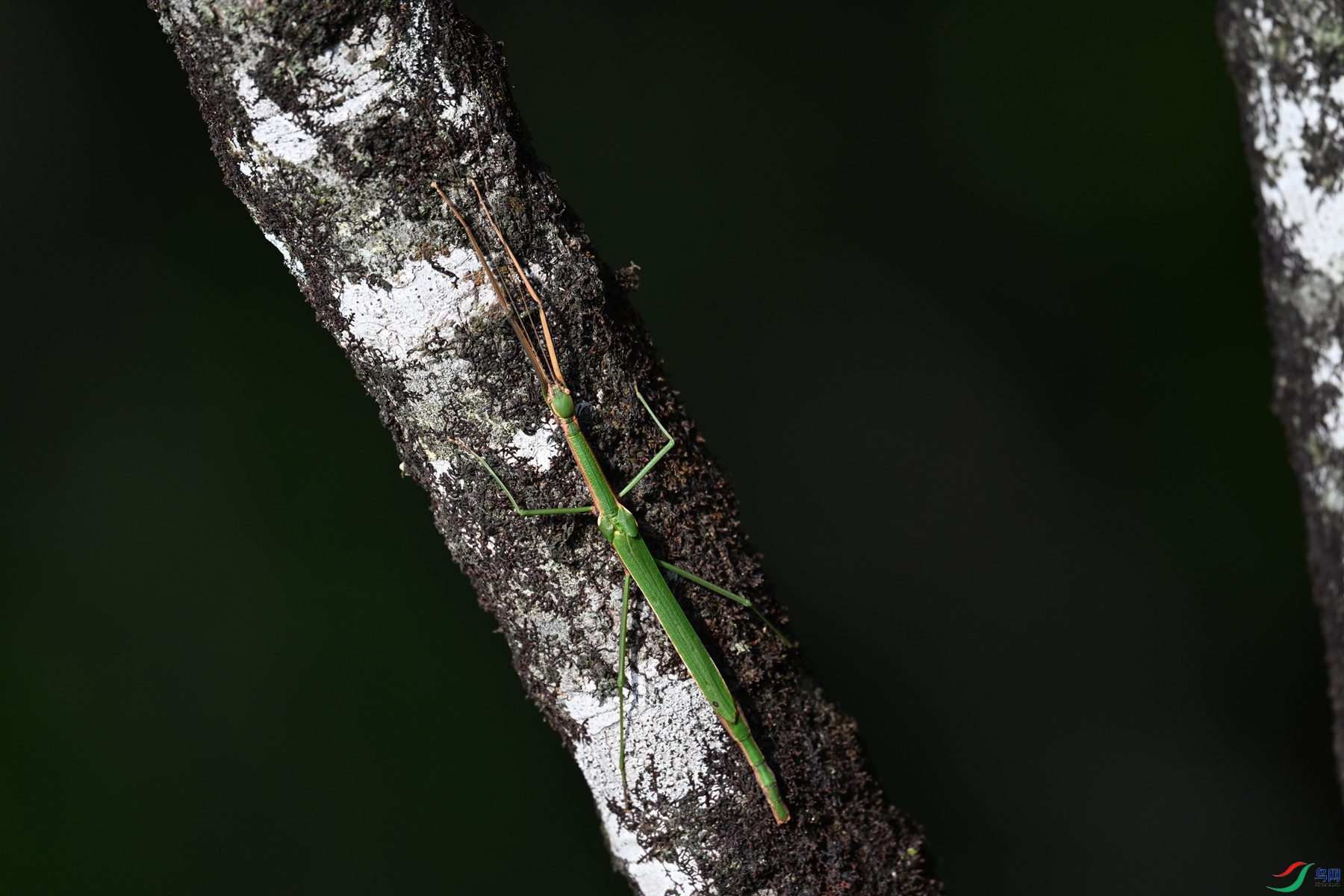DSC_4357.JPG