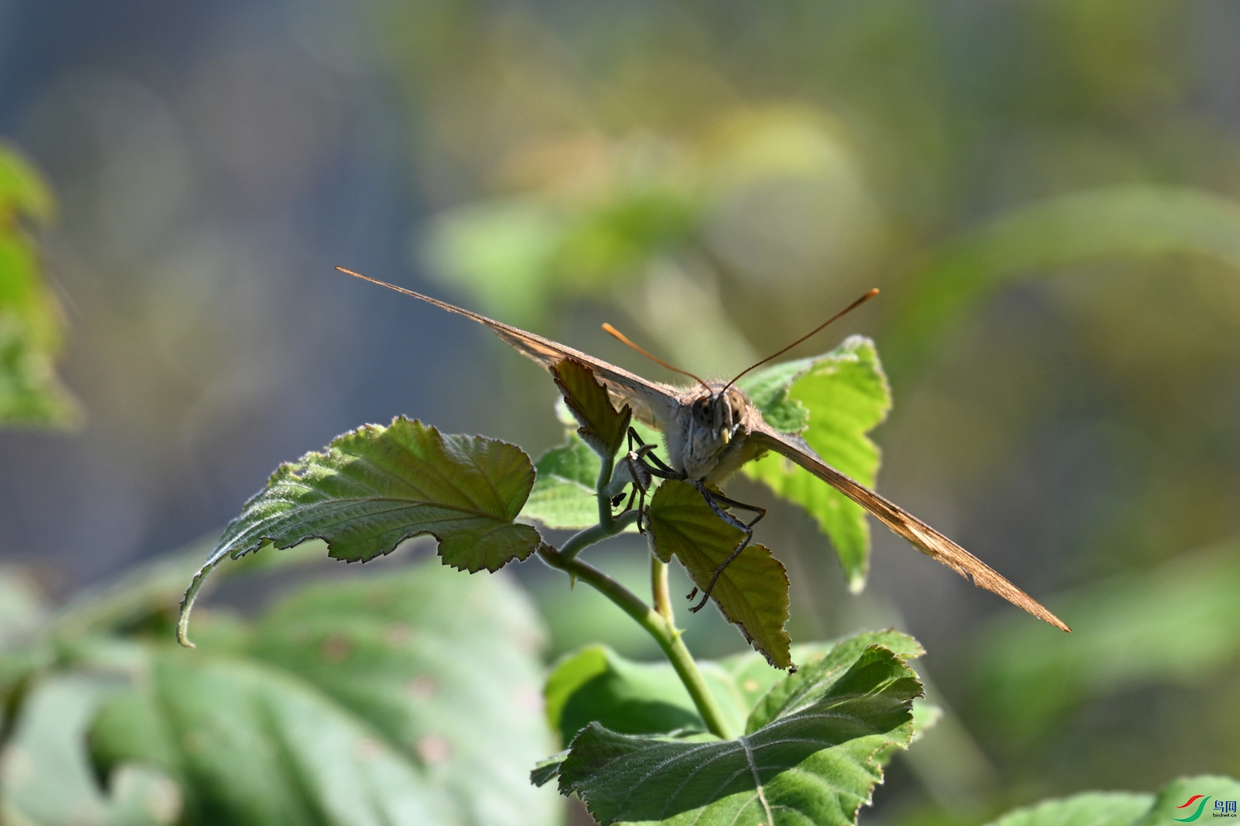 DSC_4367.JPG