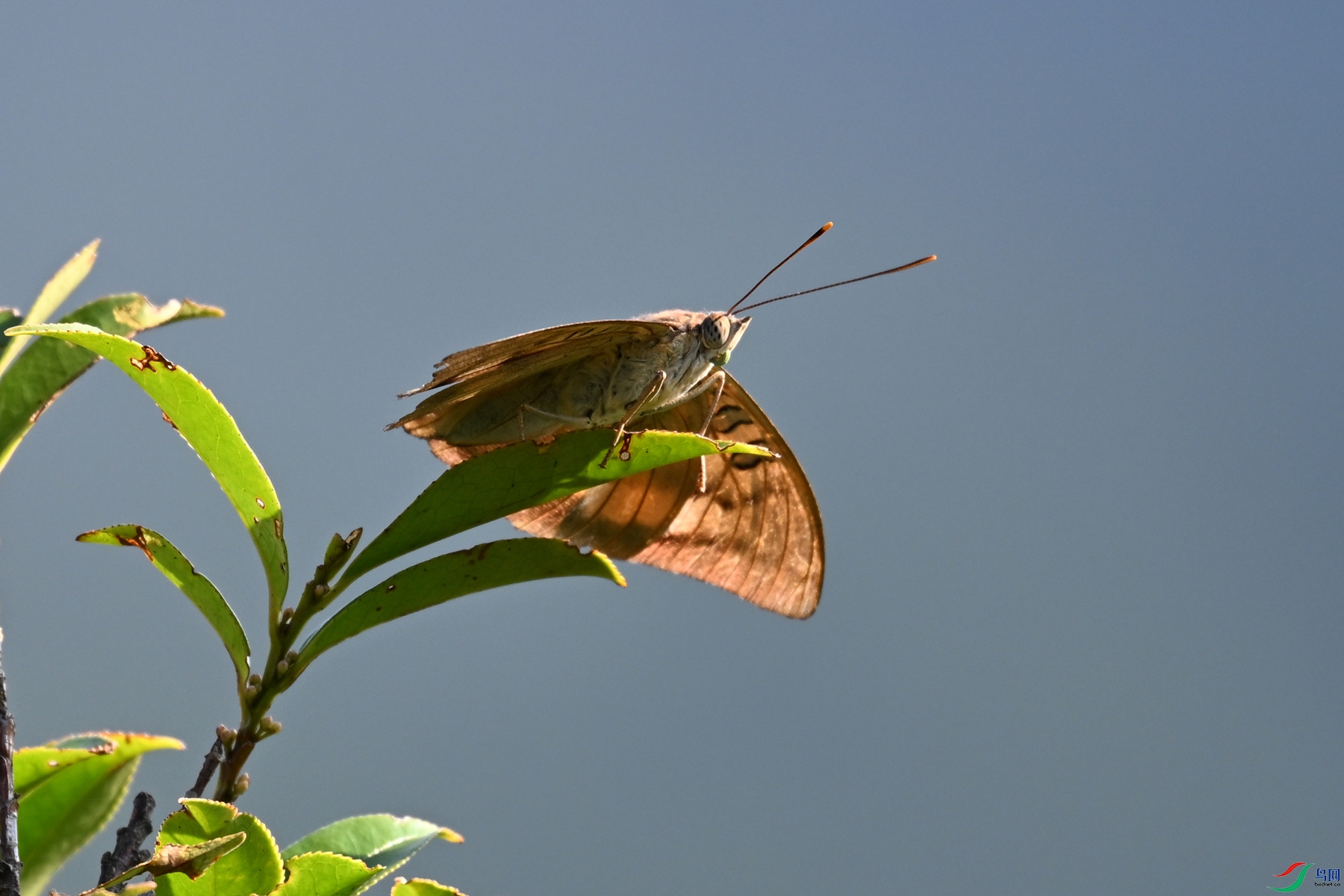 DSC_4369.JPG