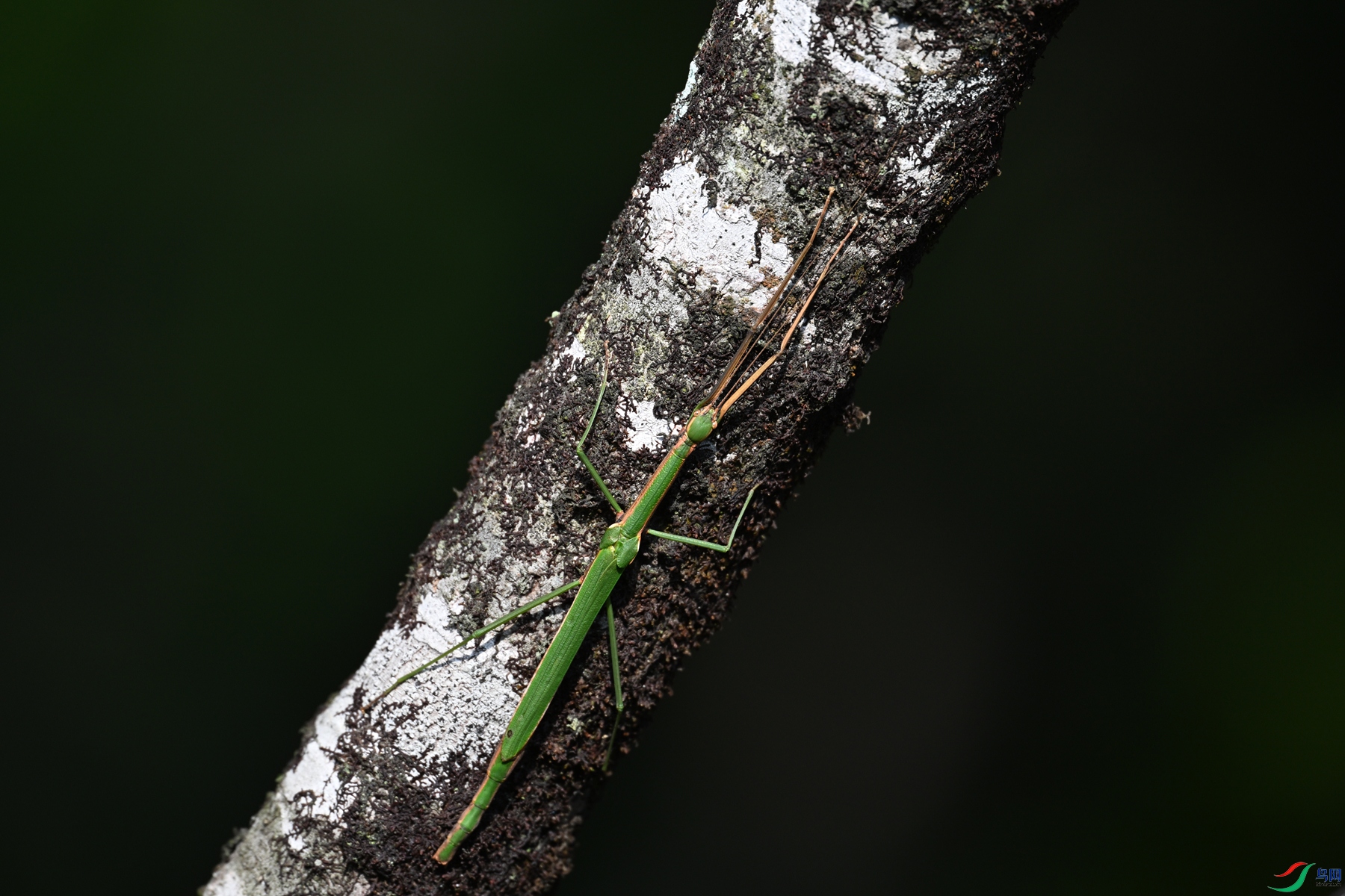 DSC_4360.JPG