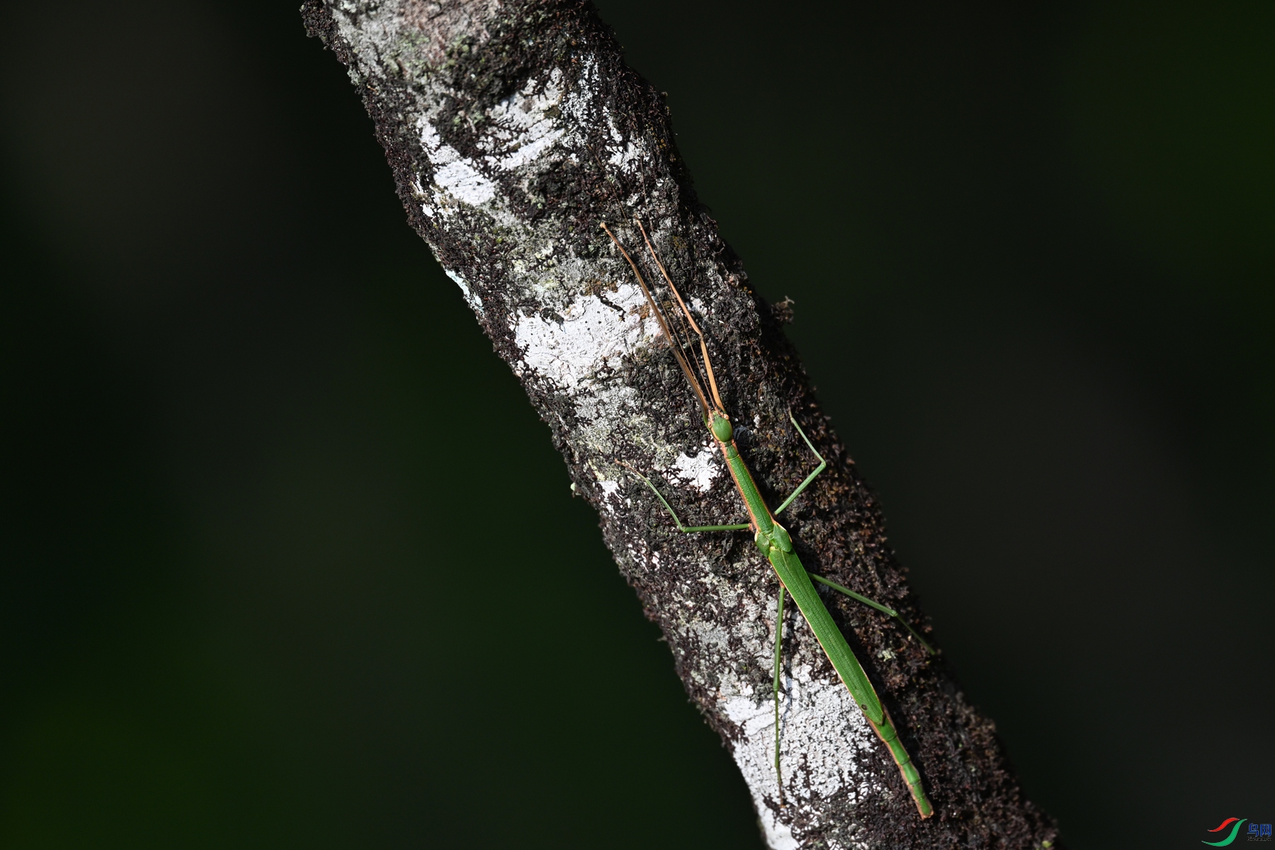 DSC_4358.JPG