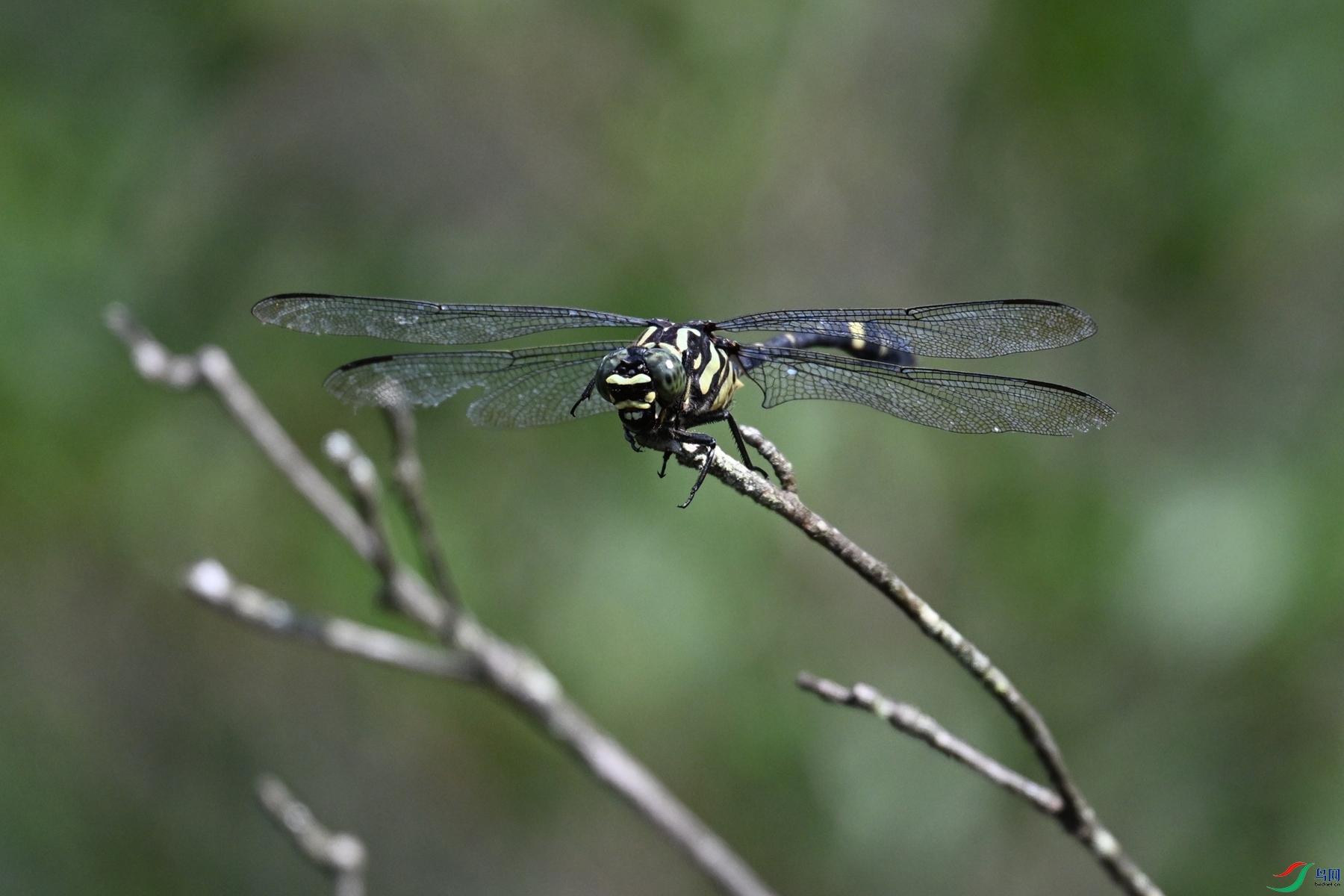 DSC_4489.JPG