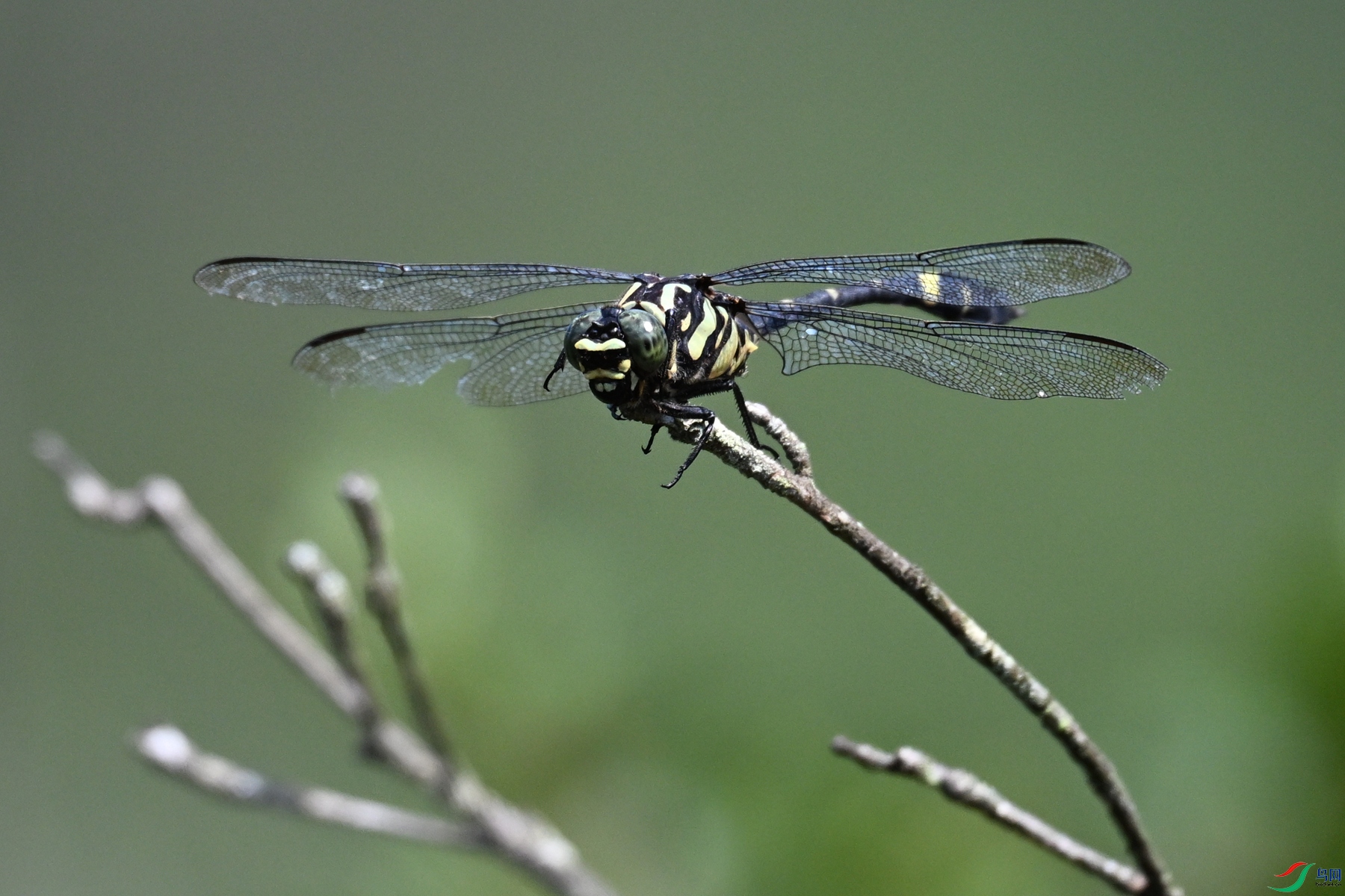DSC_1102.JPG