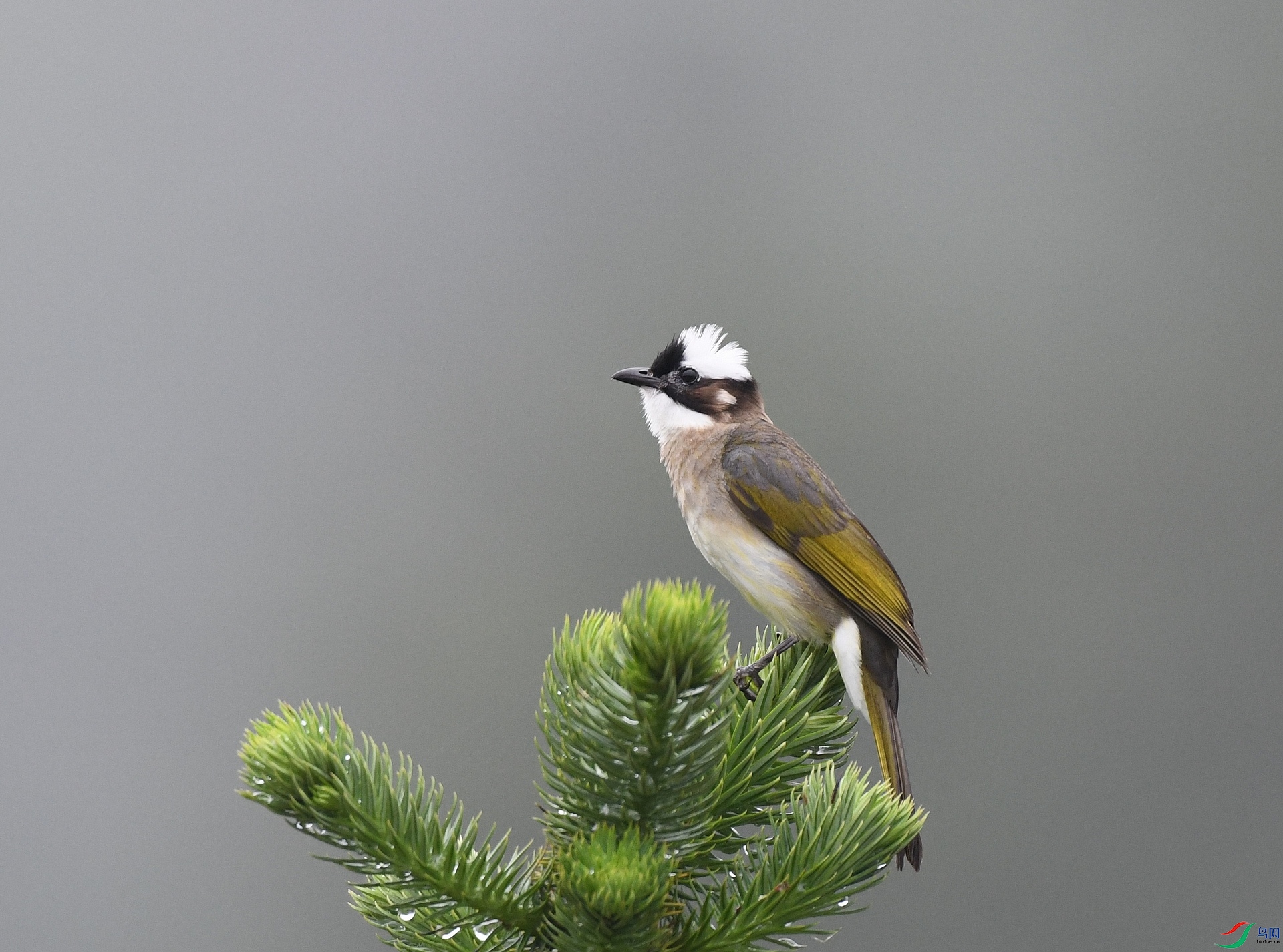 DSC_0528.jpg