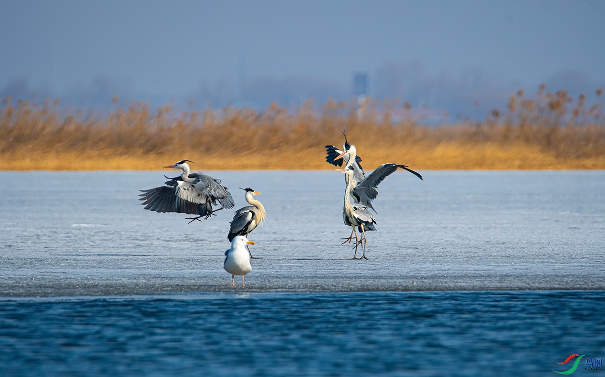 20210313 (133).jpg