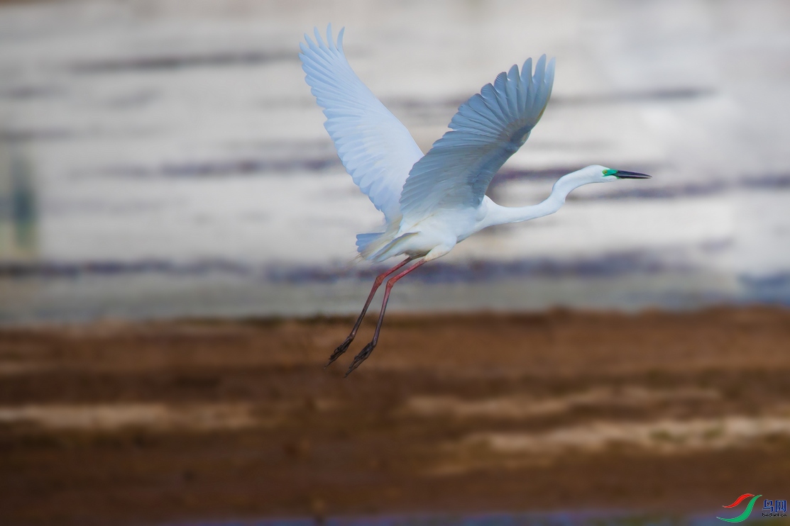 DSC_6244a.jpg