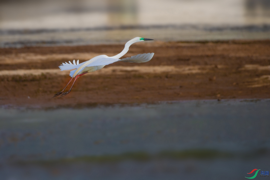 DSC_6238a.jpg