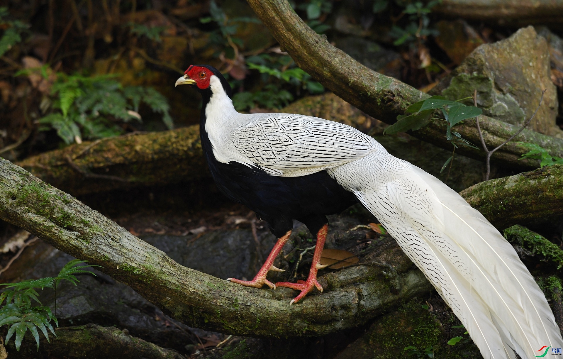 DSC_5661.jpg