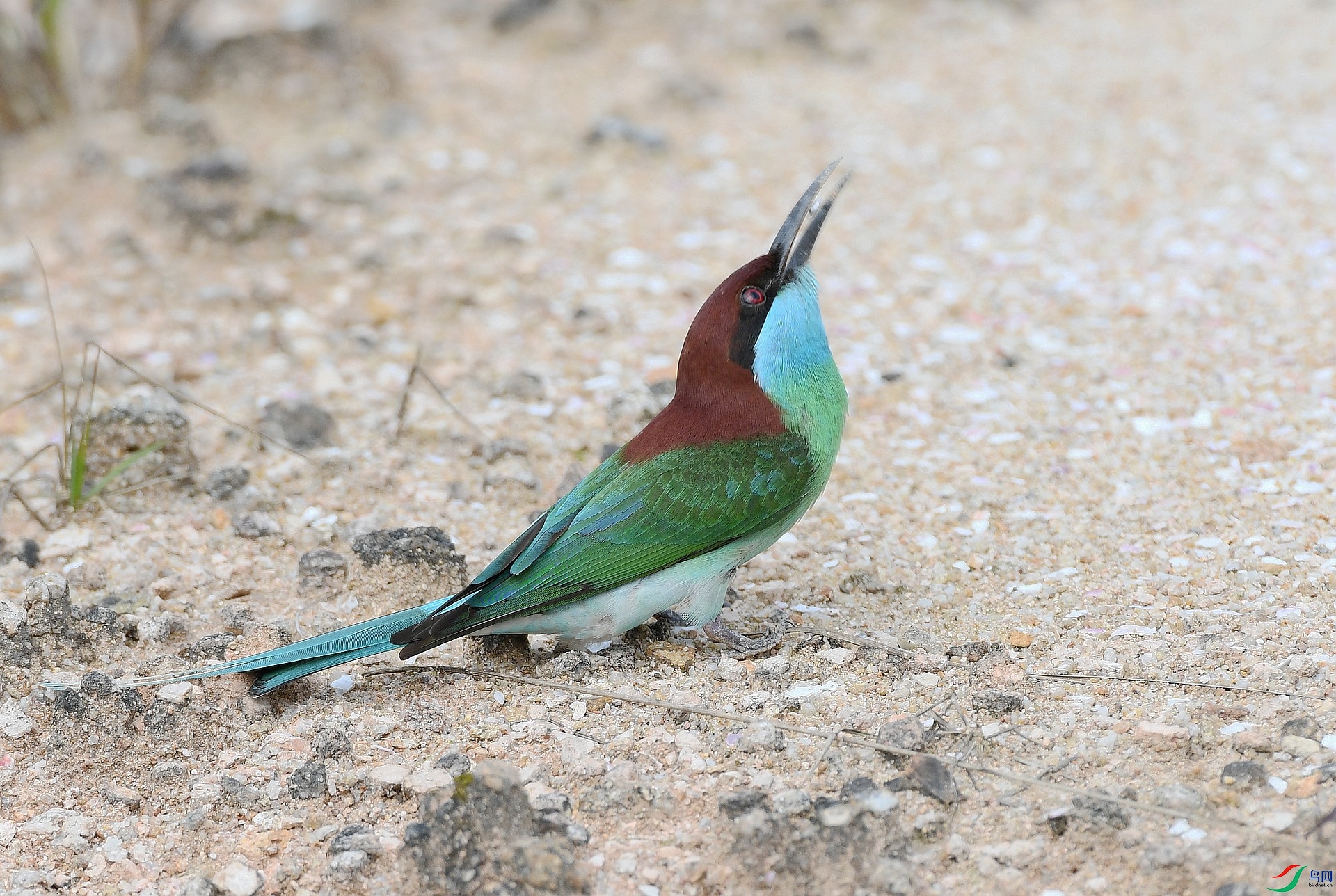 DSC_5641.jpg