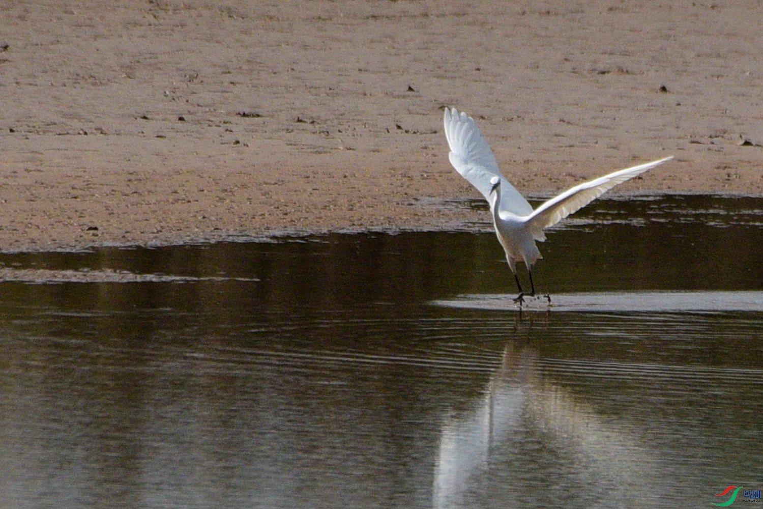 DSC_7935.JPG