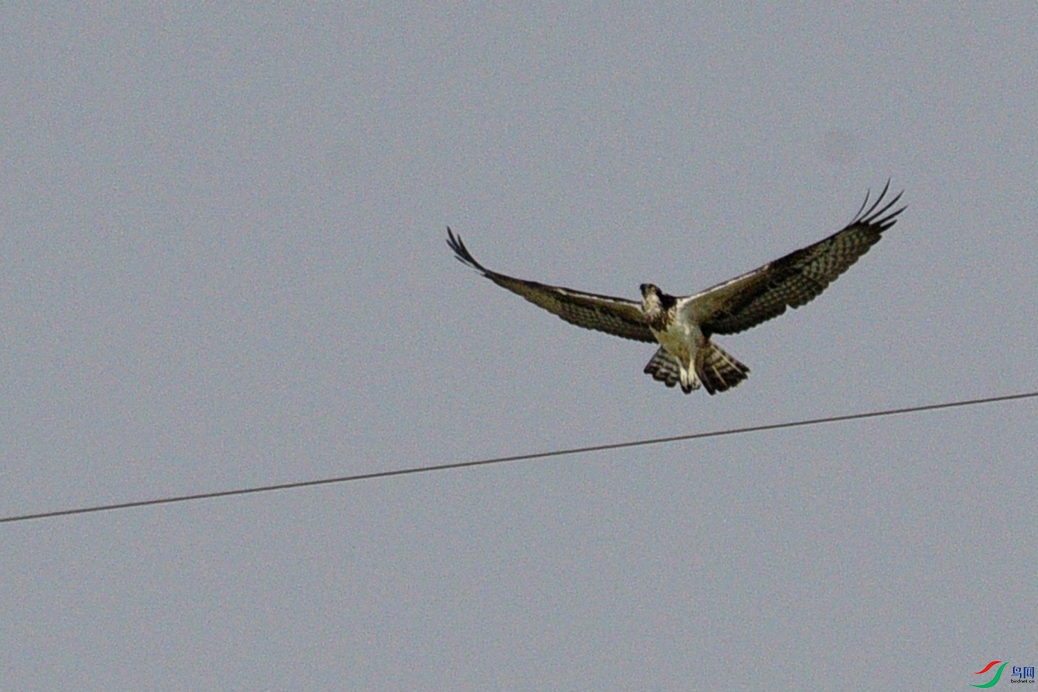 DSC_8037.JPG