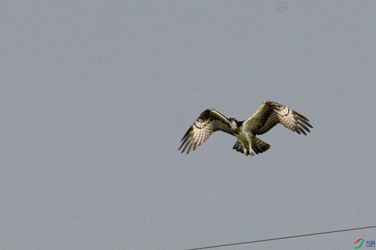 DSC_8038.JPG