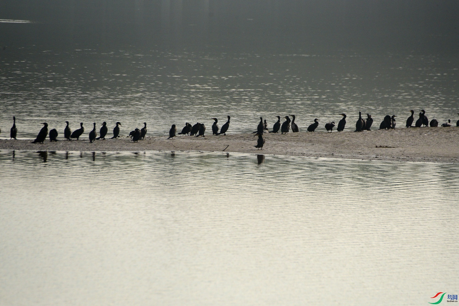 DSC_8079.JPG
