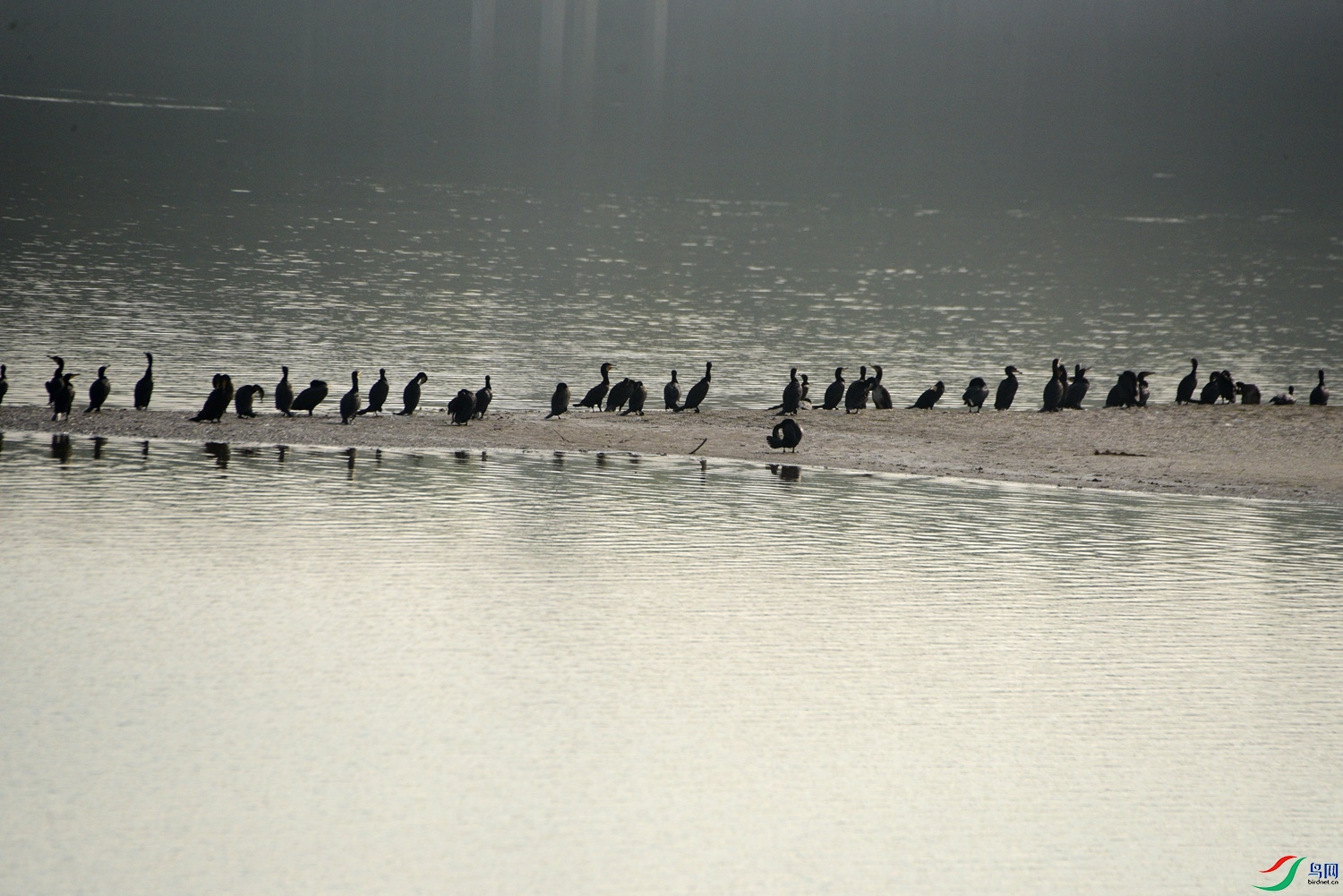 DSC_8085.JPG