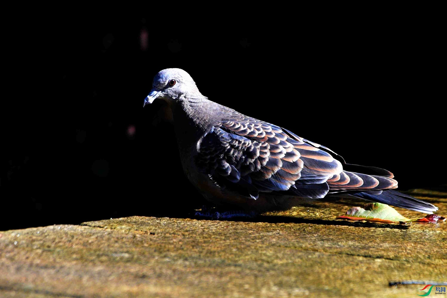 DSC_8885.JPG