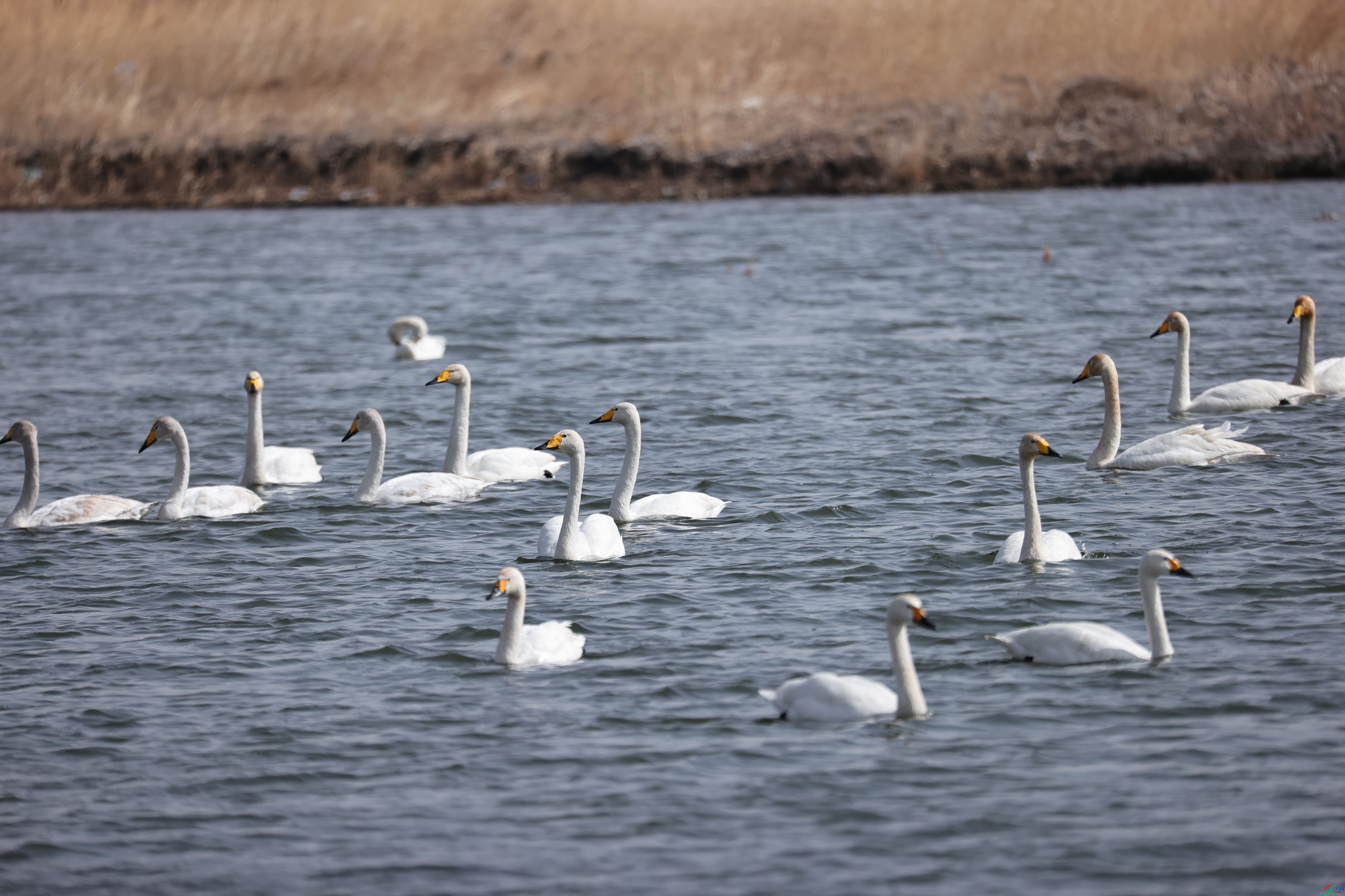 �����07